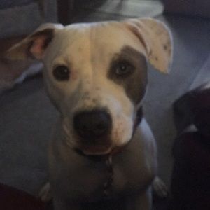 Meet your Posher, Brenda